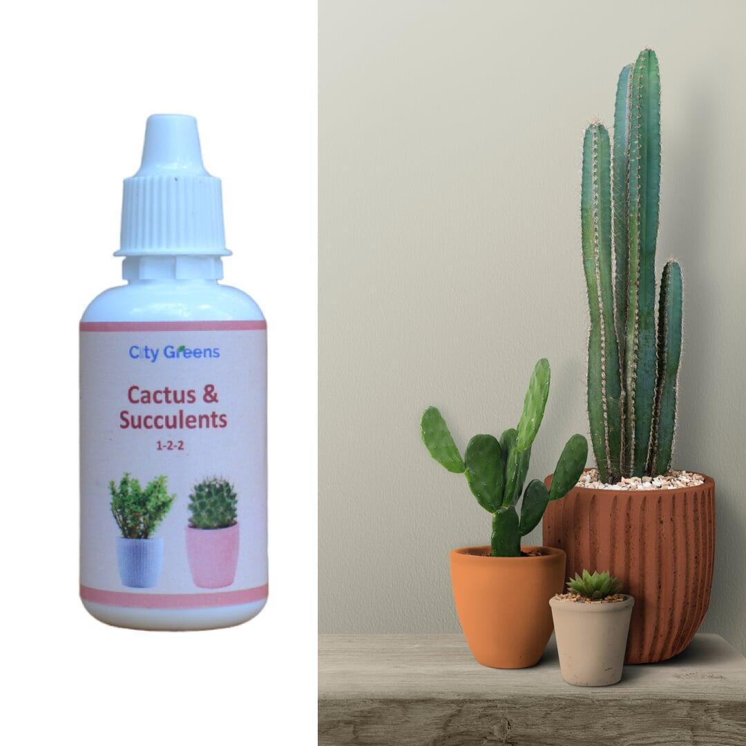 How to use City Greens Cactus & Succulents Nutrient?