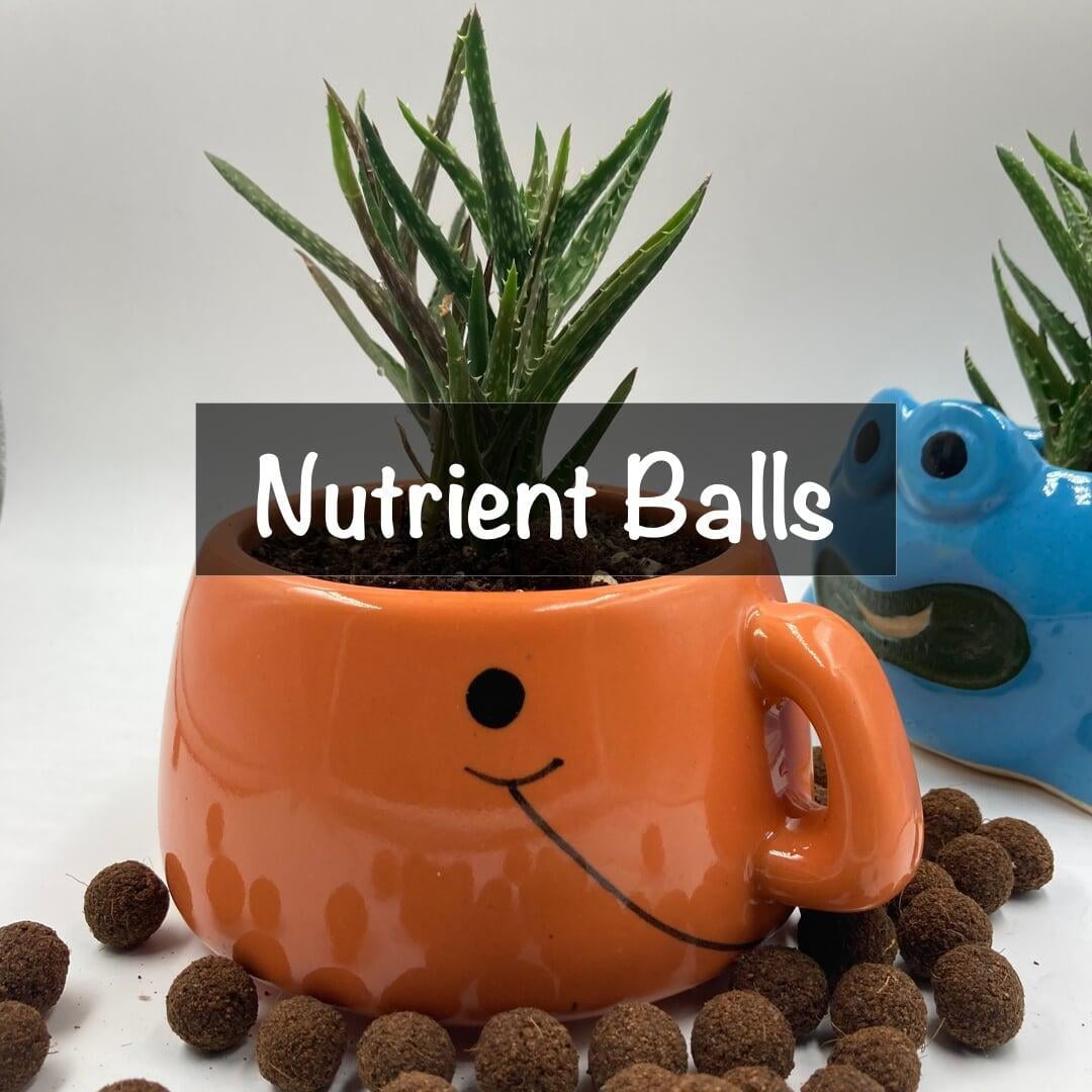 How to use City Greens Nutrient balls?
