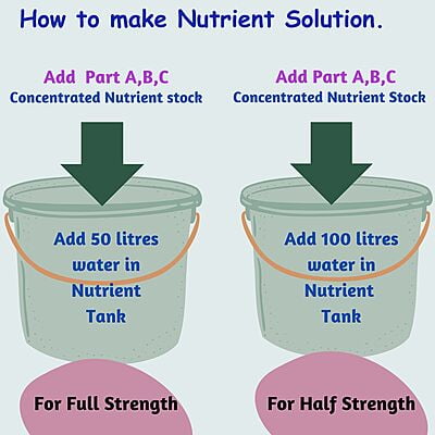 Powder Nutrients For Veggies and Tomatoes