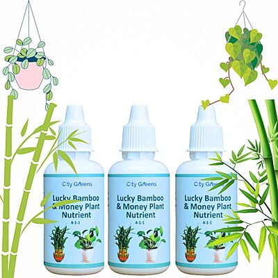 Lucky Bamboo & Money Plant Nutrient Lucky Bamboo & Money Plant Nutrient