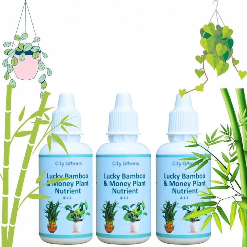 Lucky Bamboo & Money Plant Nutrient Lucky Bamboo & Money Plant Nutrient