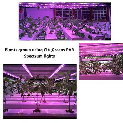 PAR Spectrum Grow Lights - Set of 2 PAR Spectrum Grow Lights - Set of 2