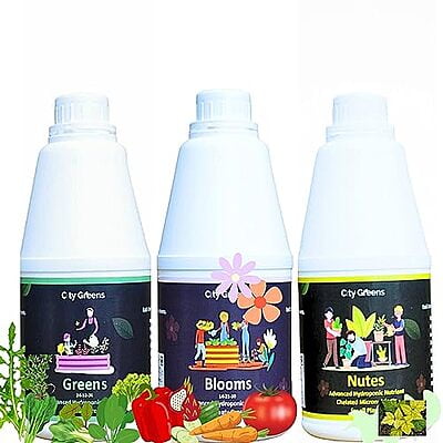 Symphony Combo Pack Symphony Combo Pack