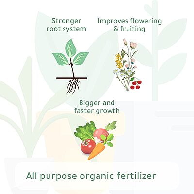 Organic Phosphorus Fertilizer