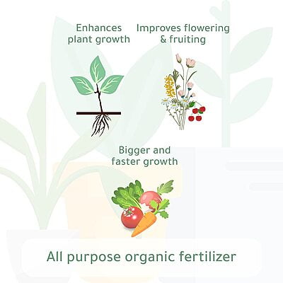 Organic Micro Nutrients Fertilizer