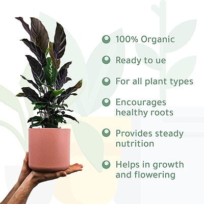 Organic Phosphorus Fertilizer Organic Phosphorus Fertilizer