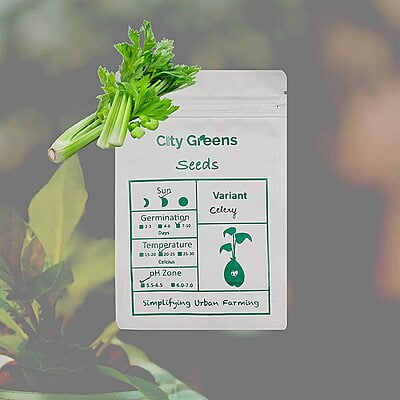 Seeds - Herbs - Celery /100 Seeds