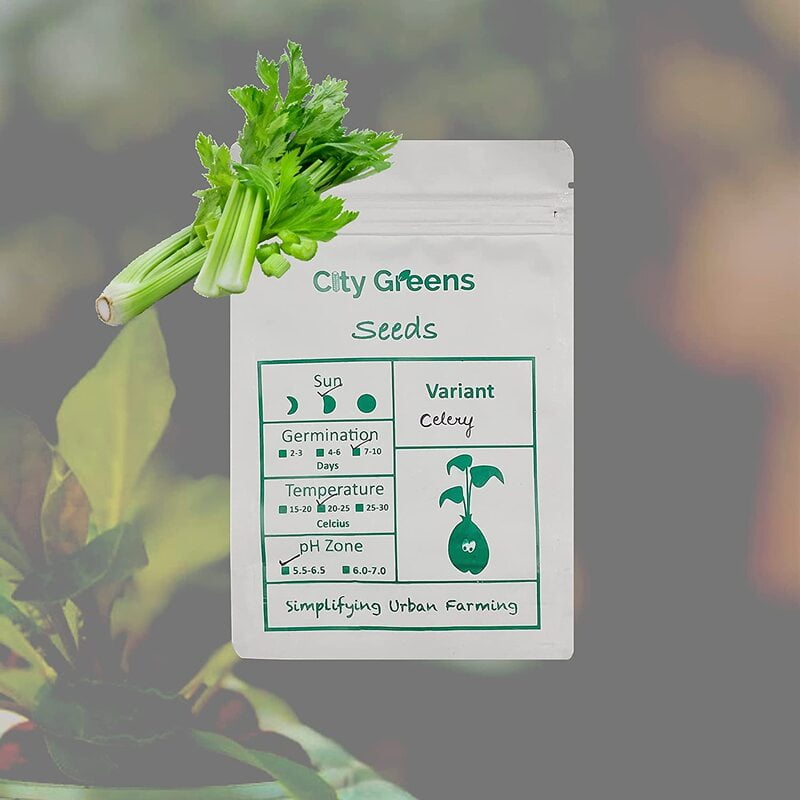 Seeds - Herbs - Celery /100 Seeds