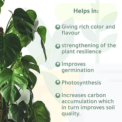 Organic Phosphorus Fertilizer Organic Phosphorus Fertilizer