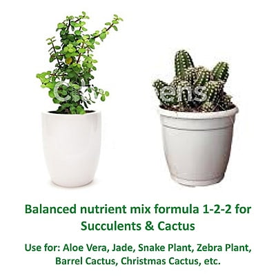 House Plant Nutrients - Succulents & Cactus