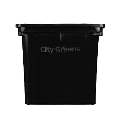 Dutch Bucket Dutch Bucket