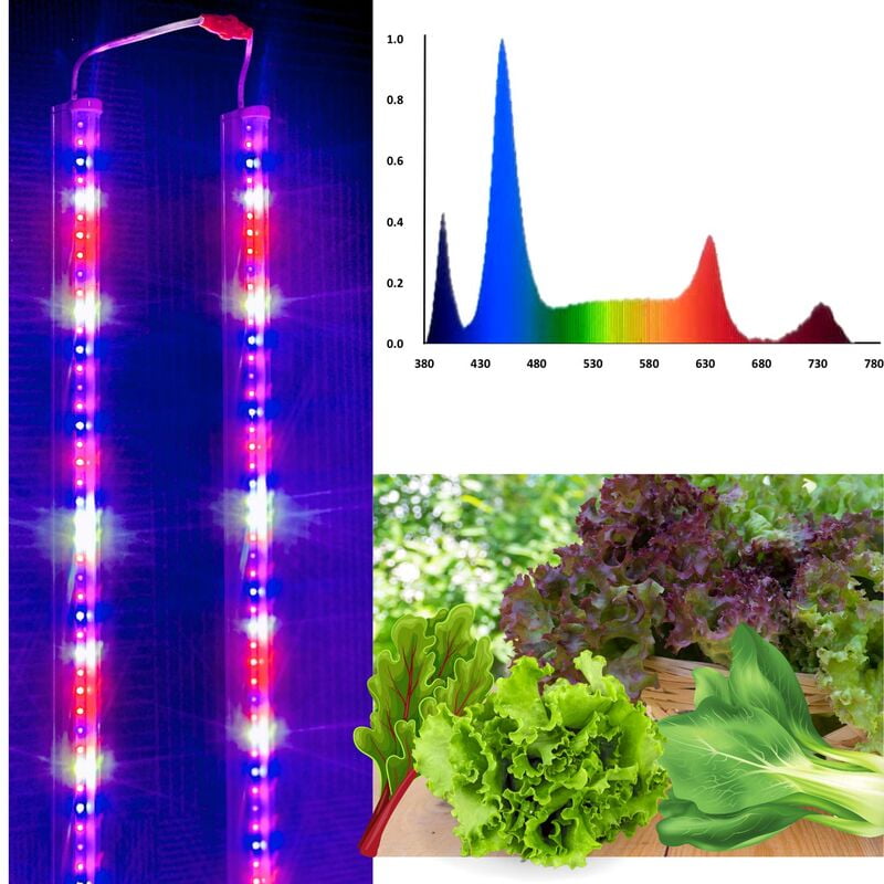 PAR Spectrum Grow Lights - Set of 10 PAR Spectrum Grow Lights - Set of 10