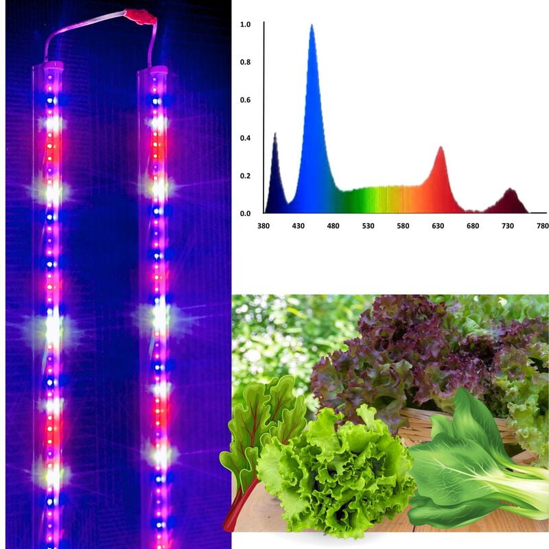 PAR Spectrum Grow Lights - Set of 10