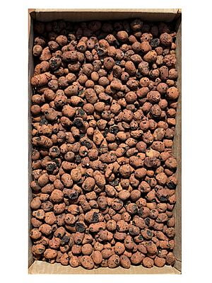 CG Hydrotons - (Fly Ash Pebbles)