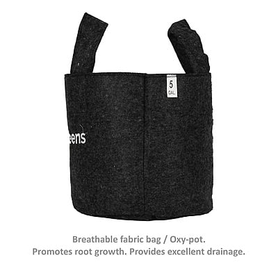 Fabric Grow Bag - 10x10 inches