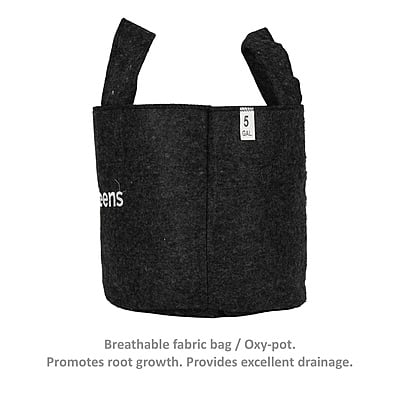 Fabric Grow Bag - 10x10 inches Fabric Grow Bag - 10x10 inches