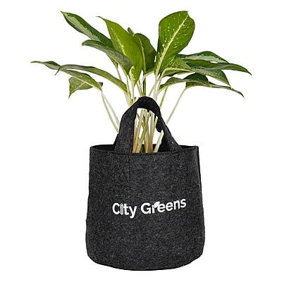 Fabric Grow Bag - 10x10 inches Fabric Grow Bag - 10x10 inches
