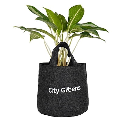 Fabric Grow Bag - 10x10 inches