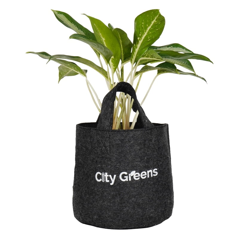 Fabric Grow Bag - 12x12 inches