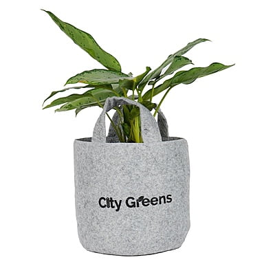 Fabric Grow Bag - 10x10 inches Fabric Grow Bag - 10x10 inches