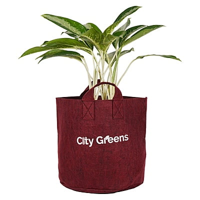 Fabric Grow Bag - 10x10 inches Fabric Grow Bag - 10x10 inches