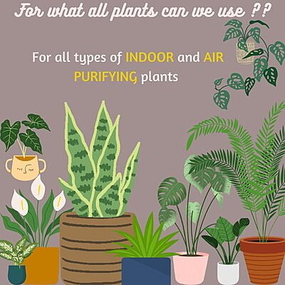 Indoor & Oxygen Plant Food - 30ml Bottle - Pack of 3
