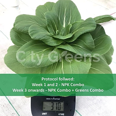 Greens Combo Pack Greens Combo Pack