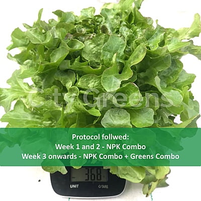 Greens Combo Pack Greens Combo Pack