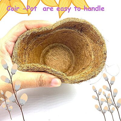 4 in 1 Herbs Gardening Kit with Coriander Parsley Basil Oregano Seeds 4 in 1 Herbs Gardening Kit with Coriander Parsley Basil Oregano Seeds