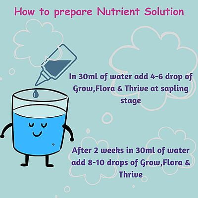Seed Starter Kit - 30 Plants