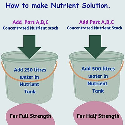 3-Part Nutrient for Leafy Greens 3-Part Nutrient for Leafy Greens