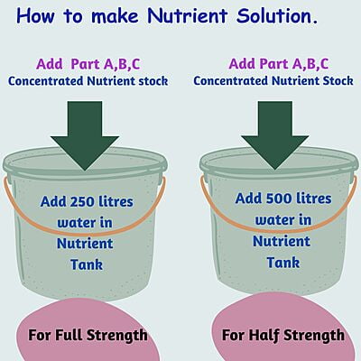 3-Part Nutrient for Leafy Greens