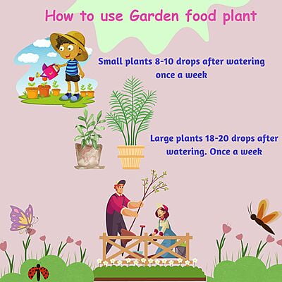 All in One Garden Plant Food - 30ml Bottle - Pack of 3