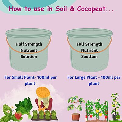 Powder Nutrients For Veggies and Tomatoes