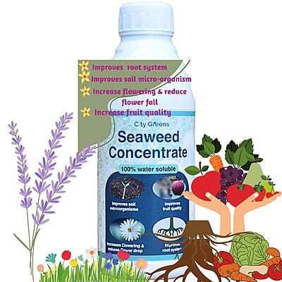 Organic Seaweed Fertilizer 300ml
