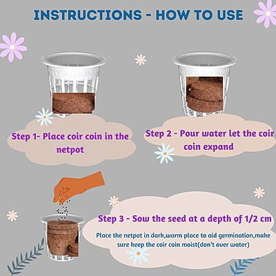 Seed Starter Kit - 30 Plants