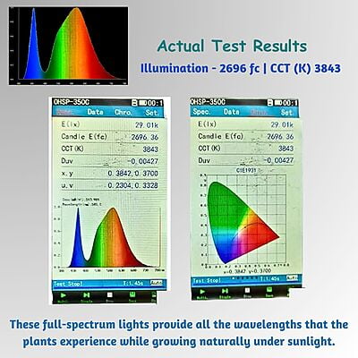 Full Spectrum Grow Lights - Set of 2