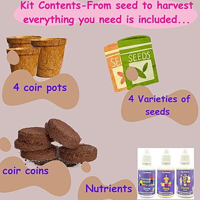 Sow & Grow 4 in 1 Salad Gardening Kit - Lettuce, Cherry Tomatoes, Red Cabbage, Cucumber Sow & Grow 4 in 1 Salad Gardening Kit - Lettuce, Cherry Tomatoes, Red Cabbage, Cucumber