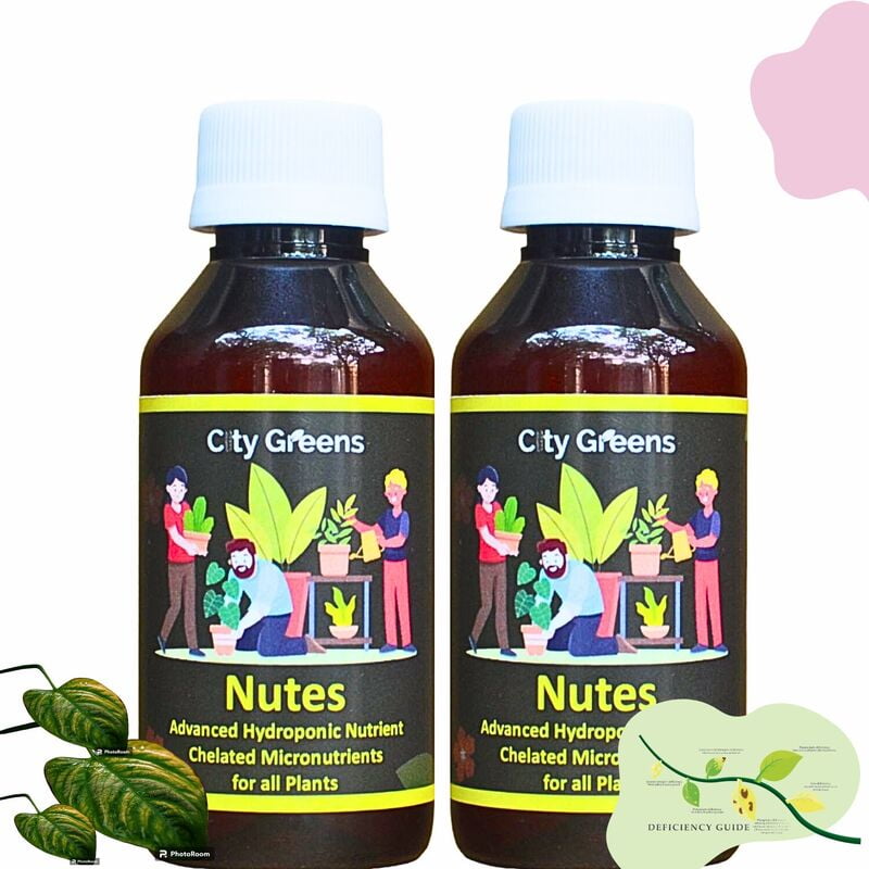 Nutes Combo Pack Nutes Combo Pack