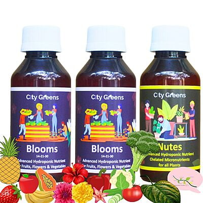 Blooms Combo Pack