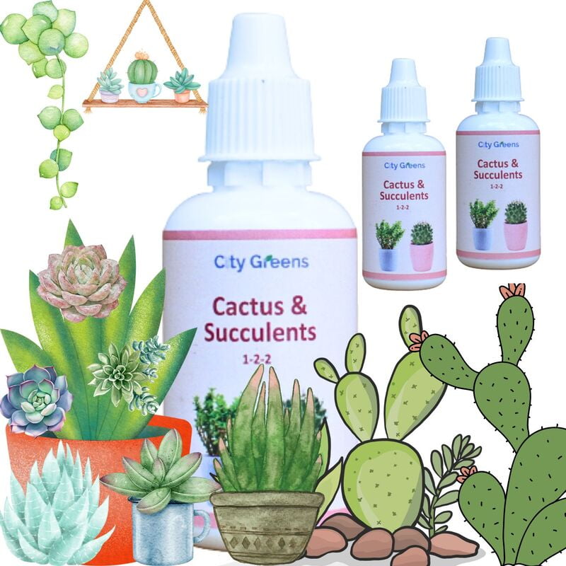 Succulents & Cactus Food - 30ml Bottle - Pack of 3