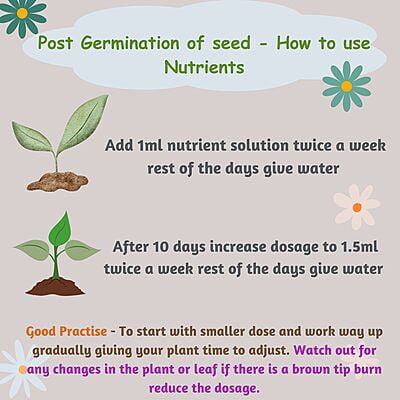 Seed Starter Kit - 15 Plants Seed Starter Kit - 15 Plants
