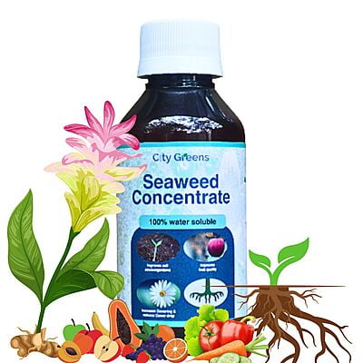 Organic Seaweed Fertilizer 300ml