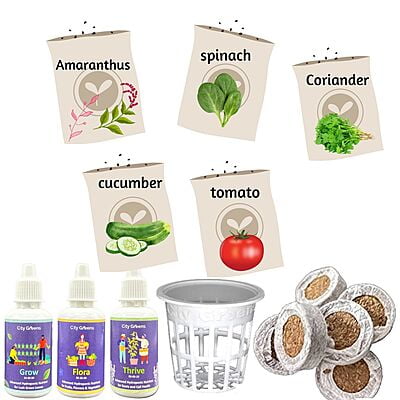 Seed Starter Kit - 15 Plants