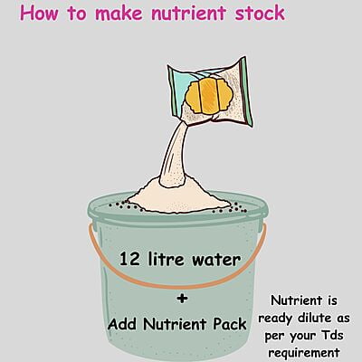 3-Part Nutrient for Leafy Greens 3-Part Nutrient for Leafy Greens