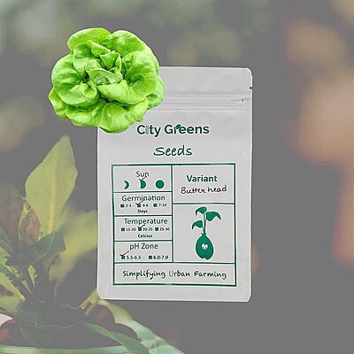 Seeds - Lettuce Variants - Butterhead Seeds - Lettuce Variants - Butterhead