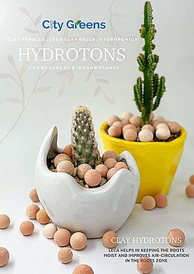 CG Hydrotons - (Clay Pebbles)