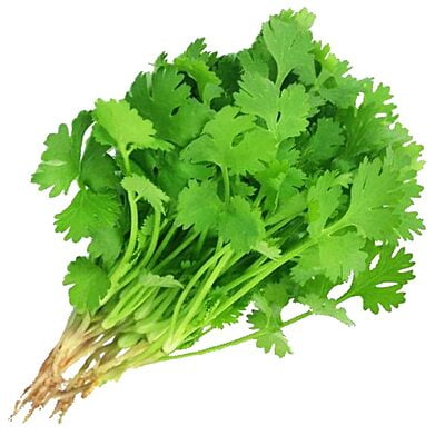 Coriander Seeds Coriander Seeds