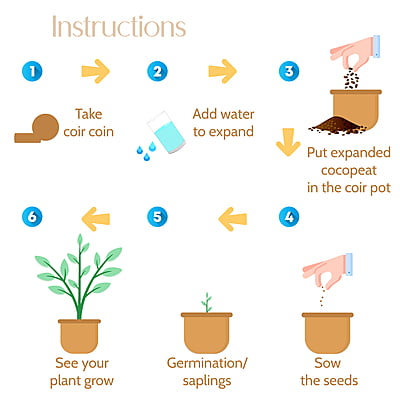 Coir Pot Kit - 4 inch 5 Planter Set Coir Pot Kit - 4 inch 5 Planter Set