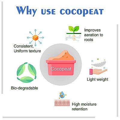 Cocopeat (Washed - Low EC) - 650 gm Brick